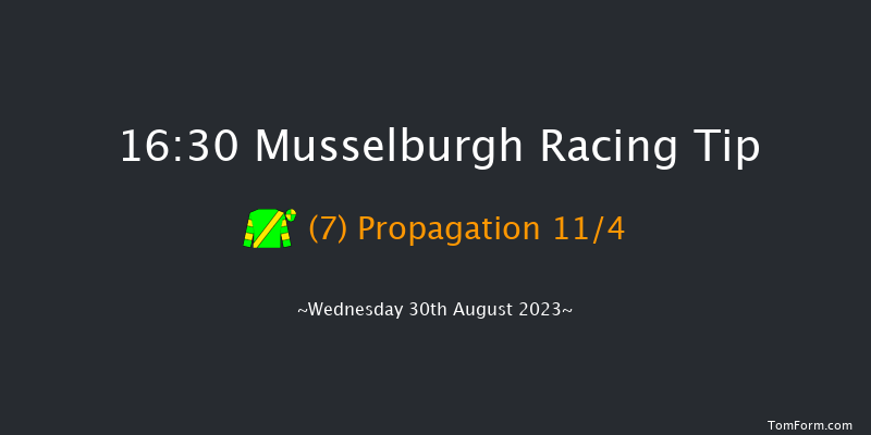 Musselburgh 16:30 Handicap (Class 6) 8f Tue 29th Aug 2023