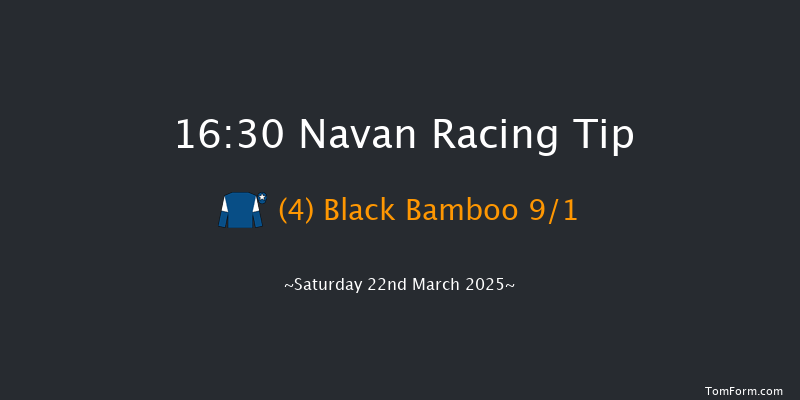 Navan  16:30 Handicap Chase 24f Sat 1st Mar 2025