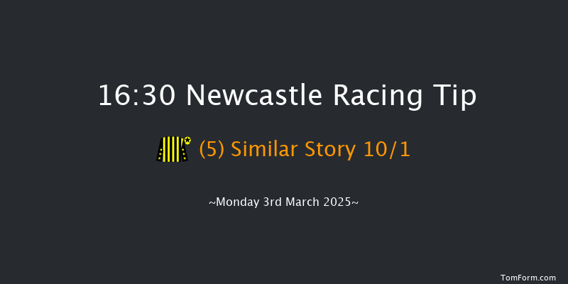 Newcastle  16:30 Handicap Chase (Class 4) 23f Sat 1st Mar 2025