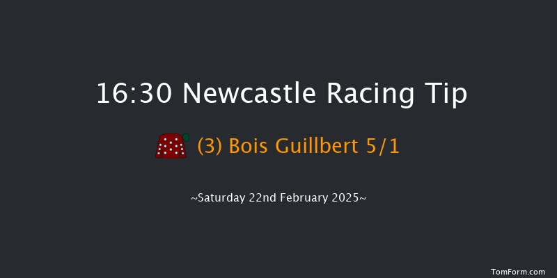 Newcastle  16:30 Handicap Chase (Class 4) 16f Thu 20th Feb 2025
