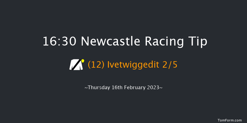 Newcastle 16:30 Handicap Hurdle (Class 5) 17f Tue 14th Feb 2023