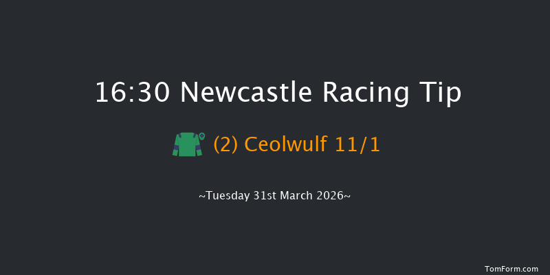 Newcastle 16-30 (Class 5) 20f Fri 27th Mar 2026