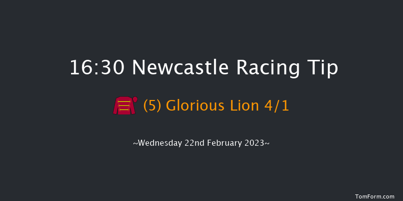 Newcastle 16:30 Stakes (Class 4) 7f Mon 20th Feb 2023
