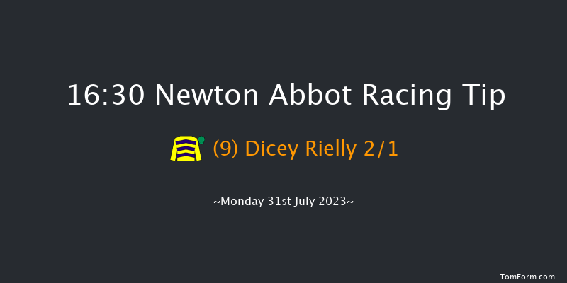 Newton Abbot 16:30 Handicap Hurdle (Class 2) 22f Sun 23rd Jul 2023