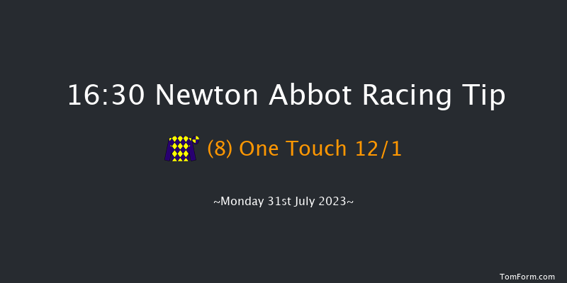 Newton Abbot 16:30 Handicap Hurdle (Class 2) 22f Sun 23rd Jul 2023