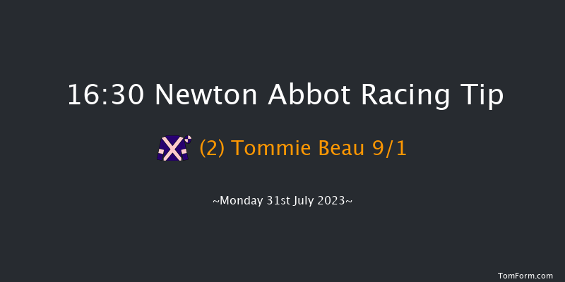 Newton Abbot 16:30 Handicap Hurdle (Class 2) 22f Sun 23rd Jul 2023