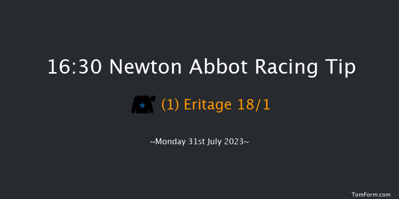 Newton Abbot 16:30 Handicap Hurdle (Class 2) 22f Sun 23rd Jul 2023