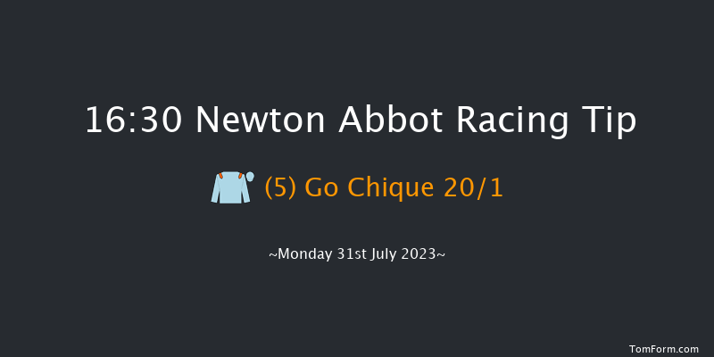 Newton Abbot 16:30 Handicap Hurdle (Class 2) 22f Sun 23rd Jul 2023