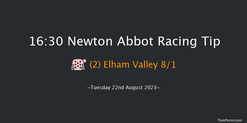 Newton Abbot 16:30 Handicap Hurdle (Class 3) 17f Mon 31st Jul 2023