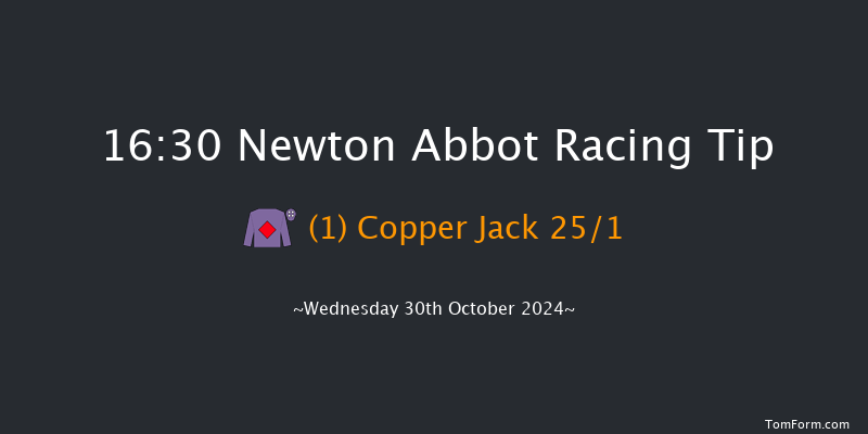 Newton Abbot  16:30 NH Flat Race (Class 5) 17f Fri 20th Sep 2024