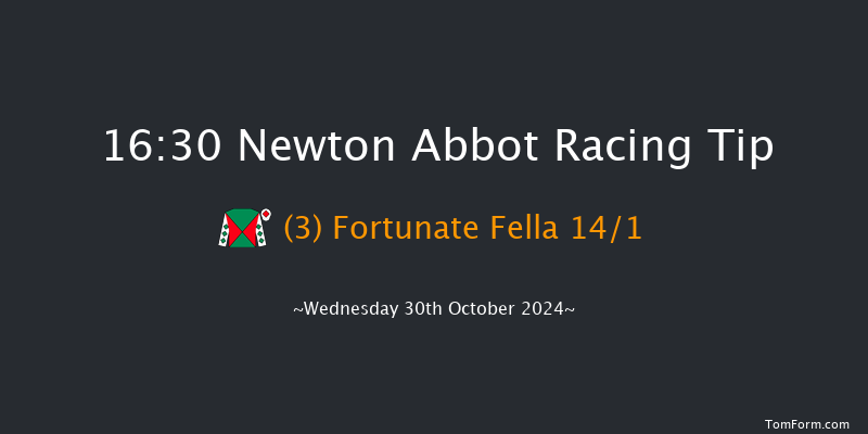 Newton Abbot  16:30 NH Flat Race (Class 5) 17f Fri 20th Sep 2024