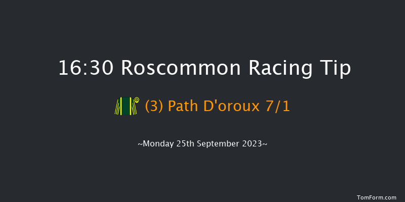 Roscommon 16:30 Maiden Chase 16f Mon 4th Sep 2023