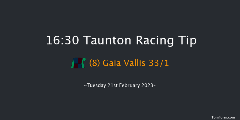 Taunton 16:30 Handicap Hurdle (Class 5) 24f Tue 7th Feb 2023
