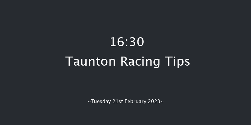 Taunton 16:30 Handicap Hurdle (Class 5) 24f Tue 7th Feb 2023