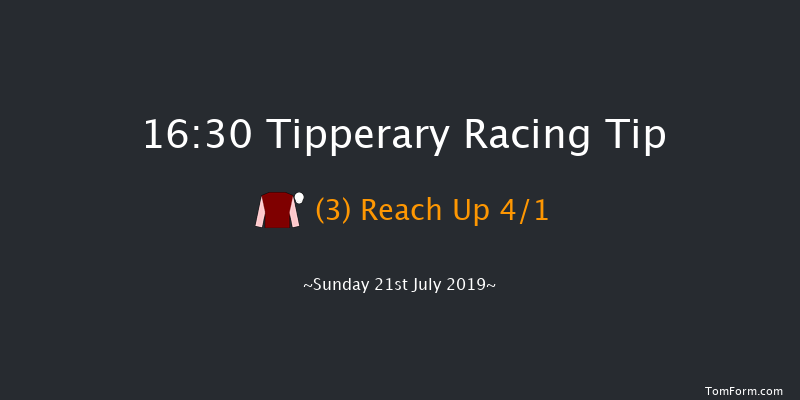 Tipperary 16:30 Handicap Chase 20f Thu 4th Jul 2019