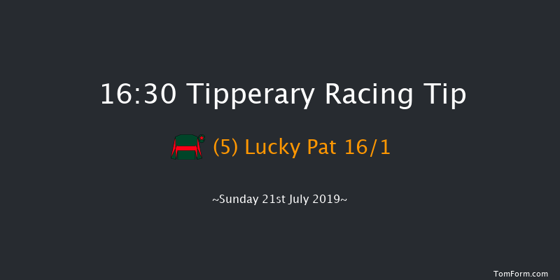 Tipperary 16:30 Handicap Chase 20f Thu 4th Jul 2019
