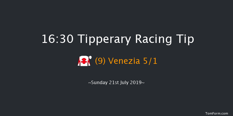 Tipperary 16:30 Handicap Chase 20f Thu 4th Jul 2019