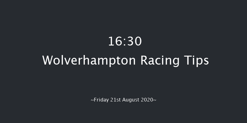 Sky Sports Racing On Sky 415 Novice Auction Stakes (Plus 10) Wolverhampton 16:30 Stakes (Class 5) 7f Wed 12th Aug 2020