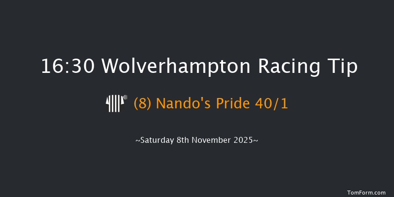 Wolverhampton 16-30 (Class 5) 8f Tue 4th Nov 2025