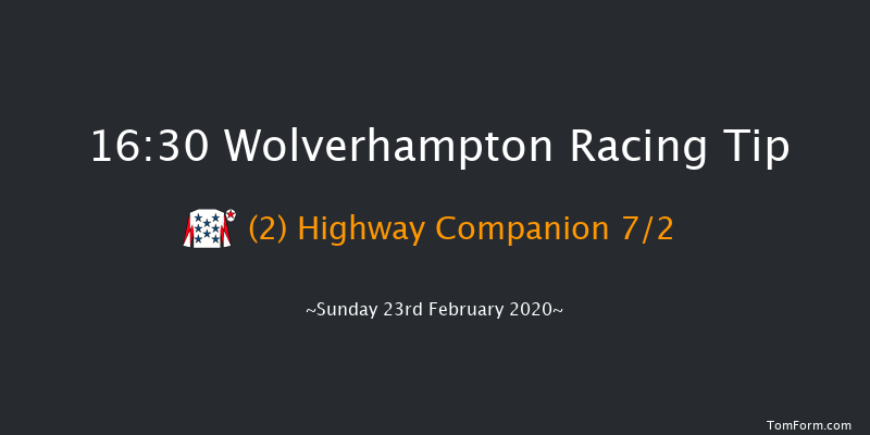 Novibet Super Enhancements 'Jumpers' Bumper' NH Flat Race Wolverhampton 16:30 16f Fri 21st Feb 2020