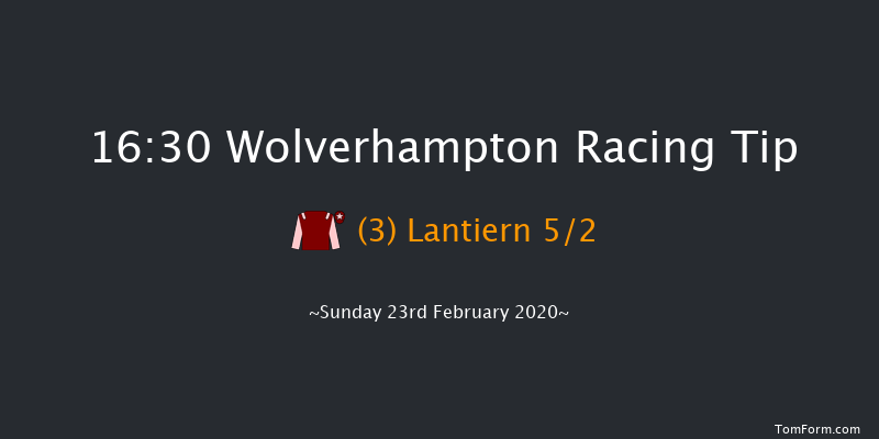 Novibet Super Enhancements 'Jumpers' Bumper' NH Flat Race Wolverhampton 16:30 16f Fri 21st Feb 2020