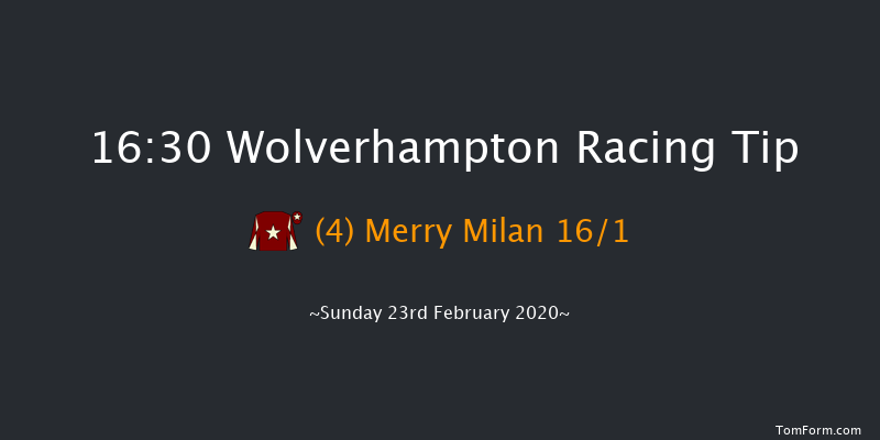 Novibet Super Enhancements 'Jumpers' Bumper' NH Flat Race Wolverhampton 16:30 16f Fri 21st Feb 2020