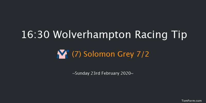 Novibet Super Enhancements 'Jumpers' Bumper' NH Flat Race Wolverhampton 16:30 16f Fri 21st Feb 2020
