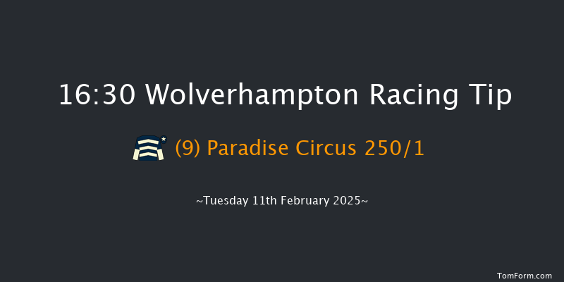 Wolverhampton  16:30 Stakes (Class 4) 9f Mon 10th Feb 2025
