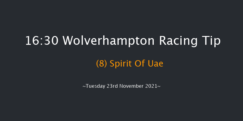 Wolverhampton 16:30 Stakes (Class 5) 10f Sat 20th Nov 2021