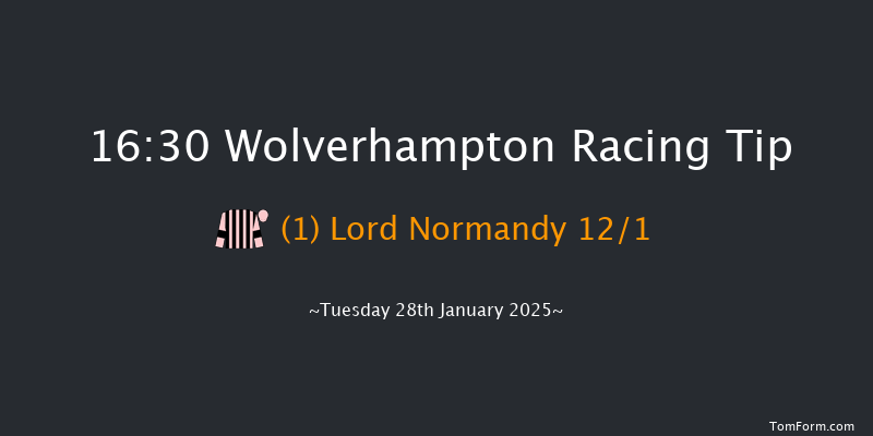 Wolverhampton  16:30 Handicap (Class 5) 9.5f Mon 27th Jan 2025
