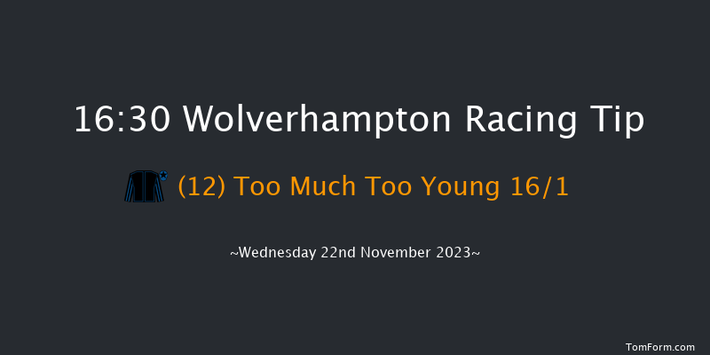 Wolverhampton 16:30 Handicap (Class 6) 9f Tue 21st Nov 2023