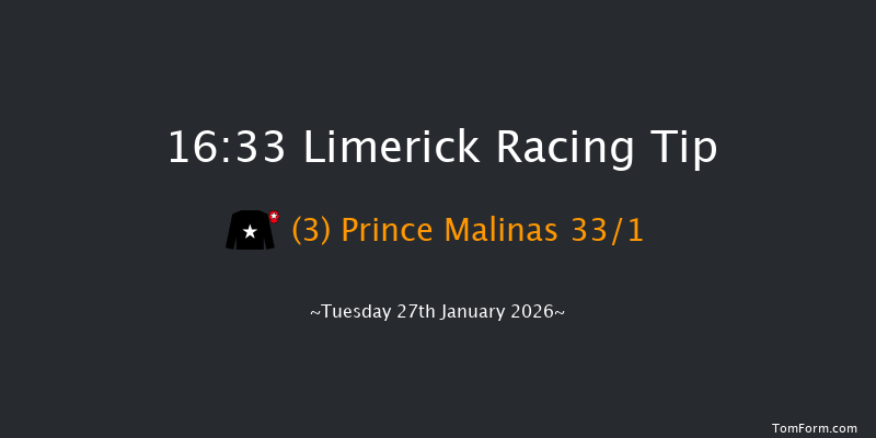 Limerick 16-33 15f Mon 29th Dec 2025