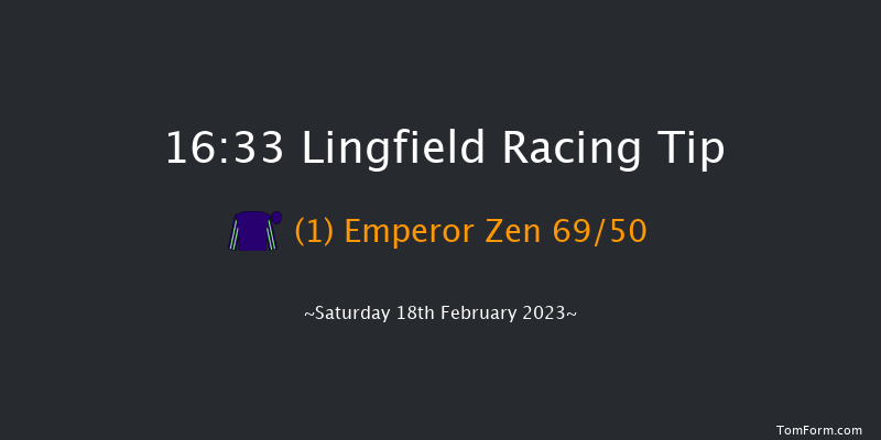 Lingfield 16:33 Handicap (Class 5) 10f Fri 17th Feb 2023