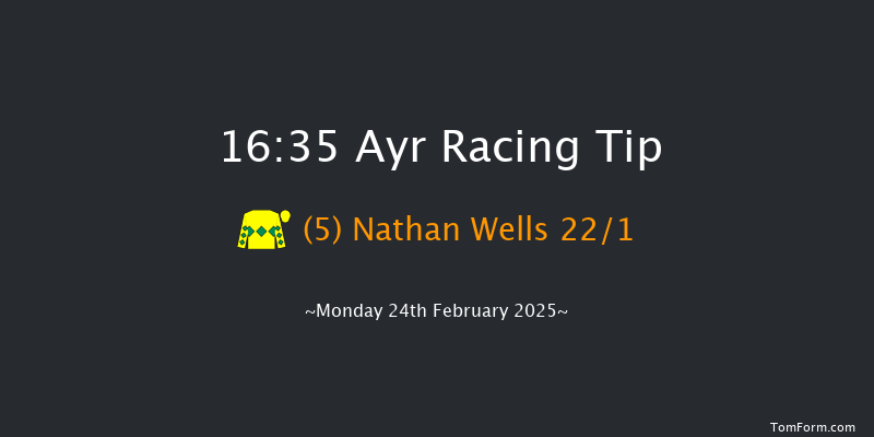 Ayr  16:35 Handicap Hurdle (Class 4) 20f Tue 11th Feb 2025
