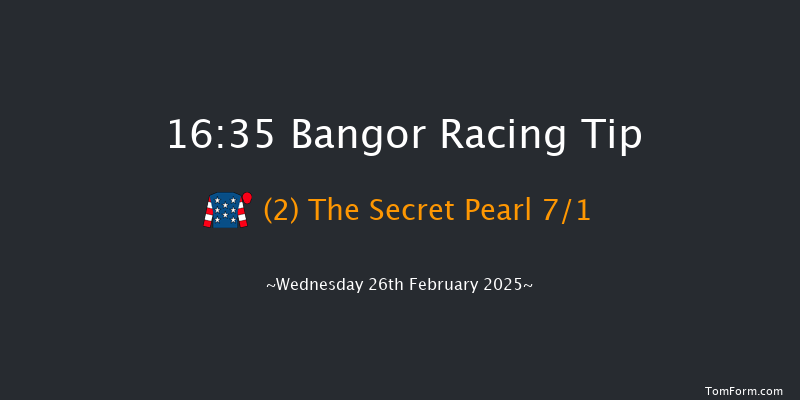 Bangor-on-dee  16:35 Handicap Hurdle (Class 5) 20f Fri 7th Feb 2025