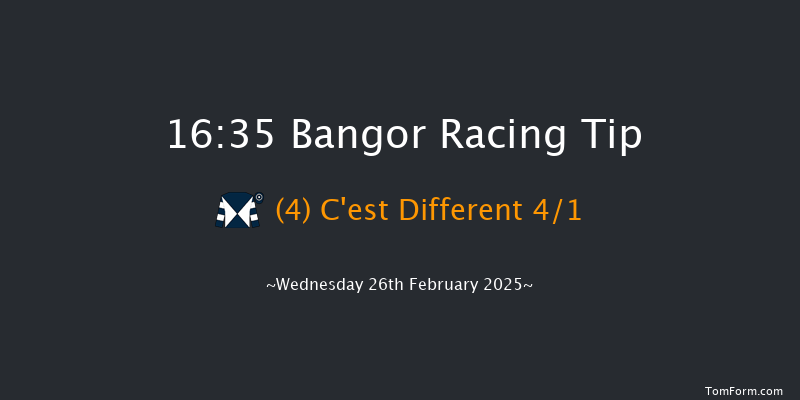 Bangor-on-dee  16:35 Handicap Hurdle (Class 5) 20f Fri 7th Feb 2025