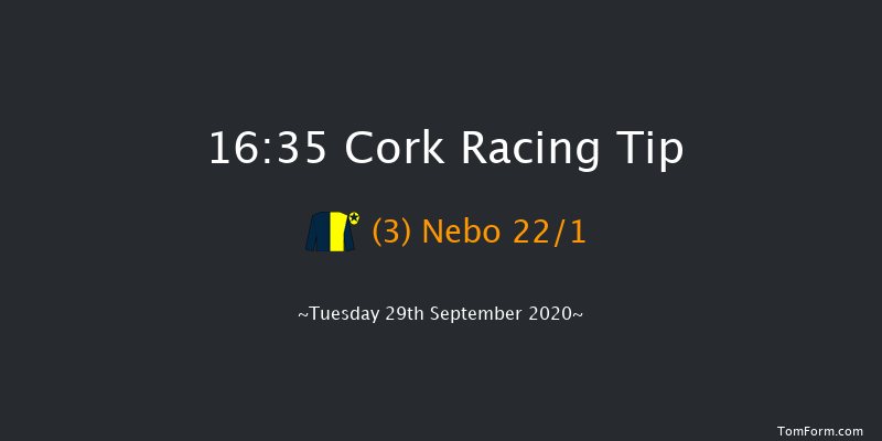 Navigation Stakes (Listed) Cork 16:35 Listed 8f Wed 16th Sep 2020