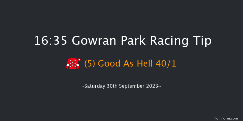 Gowran Park 16:35 Conditions Chase 20f Fri 29th Sep 2023