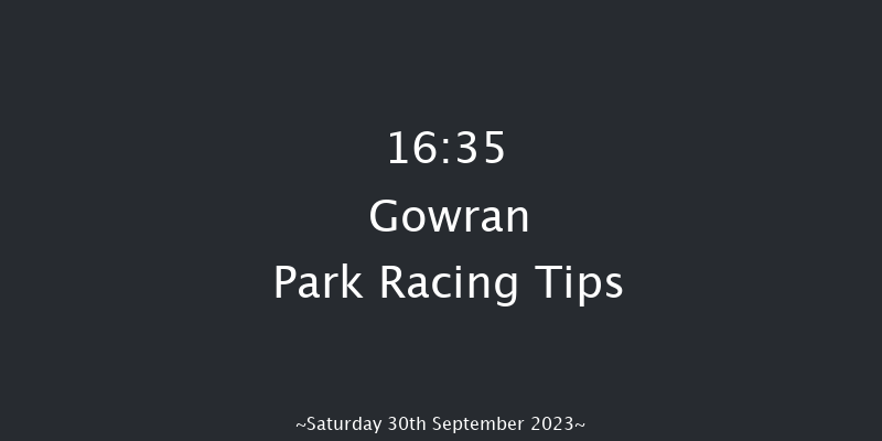 Gowran Park 16:35 Conditions Chase 20f Fri 29th Sep 2023
