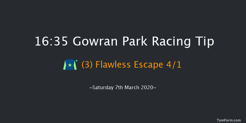 Irish Machinery Auctions Beginners Chase Gowran Park 16:35 Maiden Chase 20f Sat 15th Feb 2020
