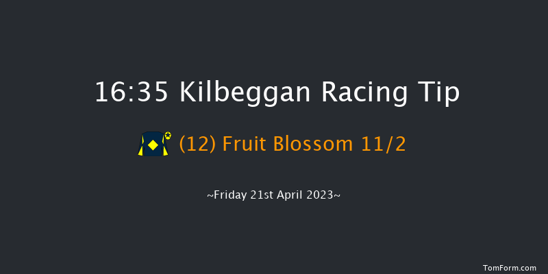 Kilbeggan 16:35 Handicap Hurdle 19f Thu 20th Apr 2023