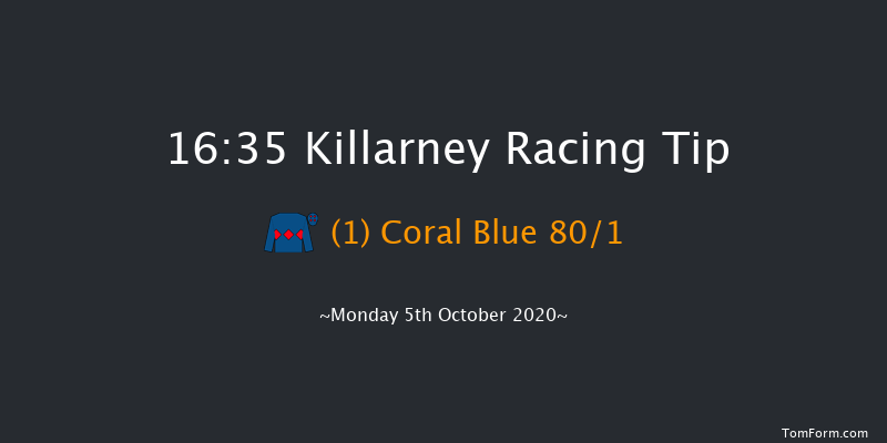 Avenue Hotel Beginners Chase Killarney 16:35 Maiden Chase 17f Sun 4th Oct 2020