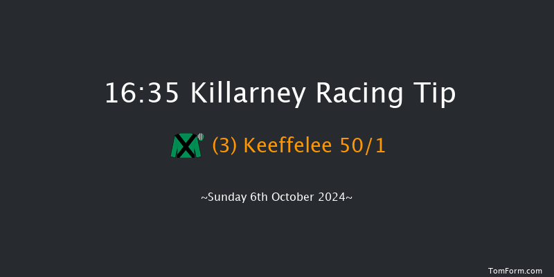 Killarney  16:35 Maiden Chase 24f Sat 24th Aug 2024