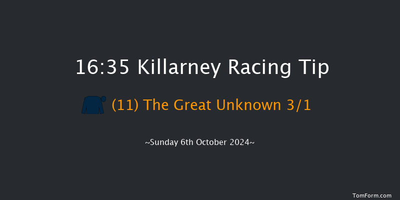 Killarney  16:35 Maiden Chase 24f Sat 24th Aug 2024