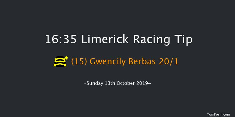 Limerick 16:35 Handicap Chase 24f Sat 12th Oct 2019