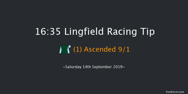 Lingfield 16:35 Handicap (Class 4) 6f Thu 5th Sep 2019