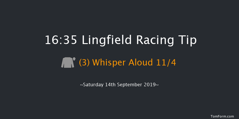 Lingfield 16:35 Handicap (Class 4) 6f Thu 5th Sep 2019