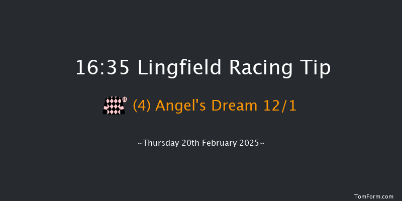 Lingfield  16:35 Handicap Chase (Class 5) 16f Sun 16th Feb 2025