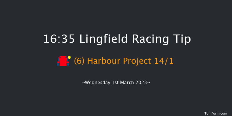 Lingfield 16:35 Stakes (Class 6) 10f Sat 25th Feb 2023