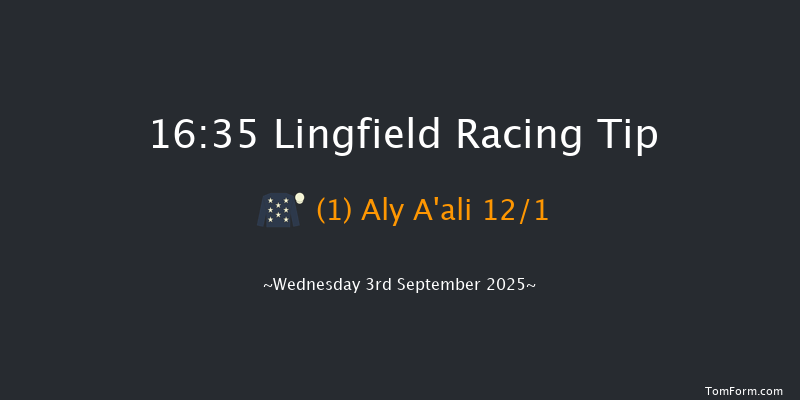 Lingfield 16-35 (Class 5) 6f Sat 30th Aug 2025
